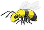 Hornets