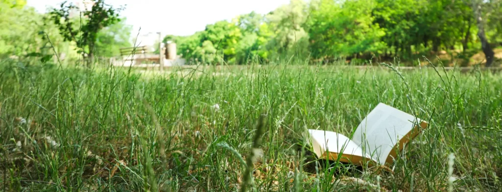 Spending Time Nature Picnic Accessories Picnic